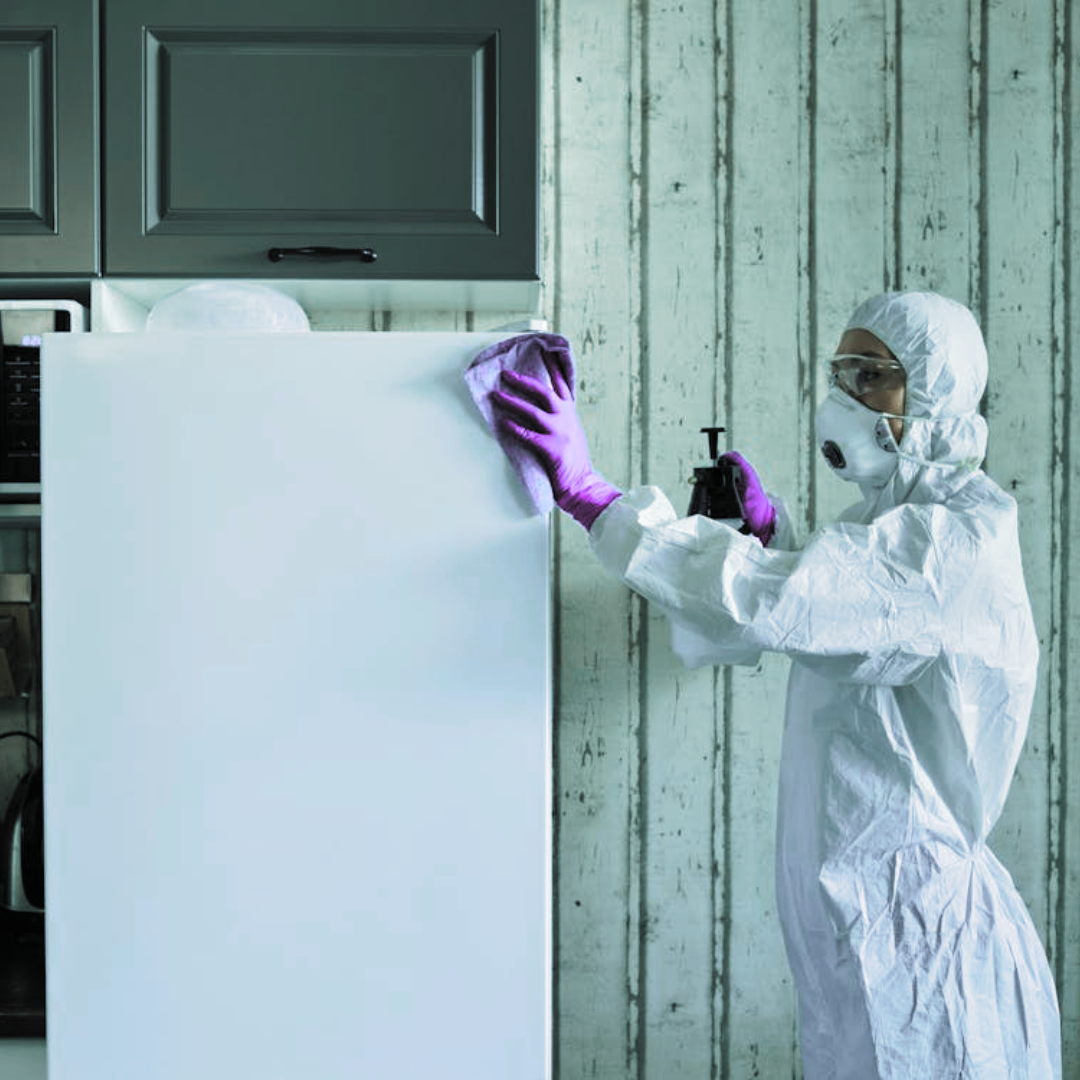 Revitalize Your Home: Cleaning and Polishing Appliance Exteriors