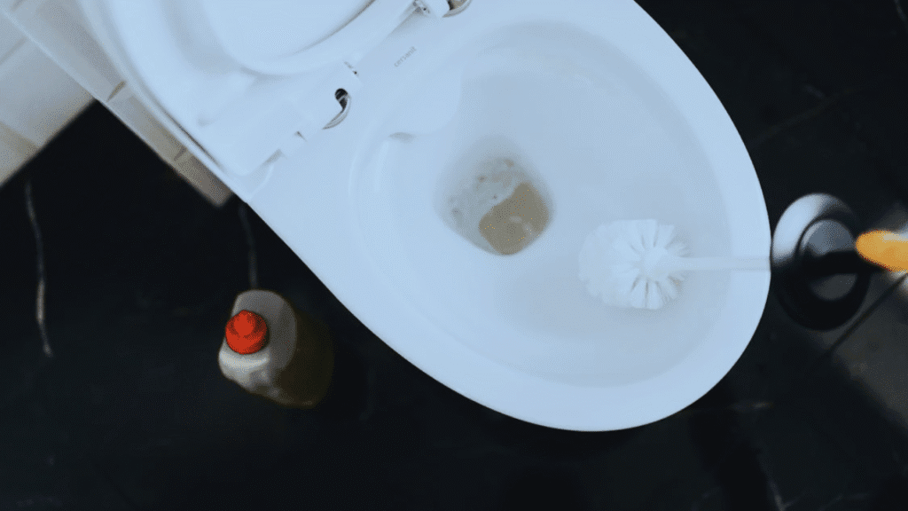 Cleaning and Sanitizing Toilet