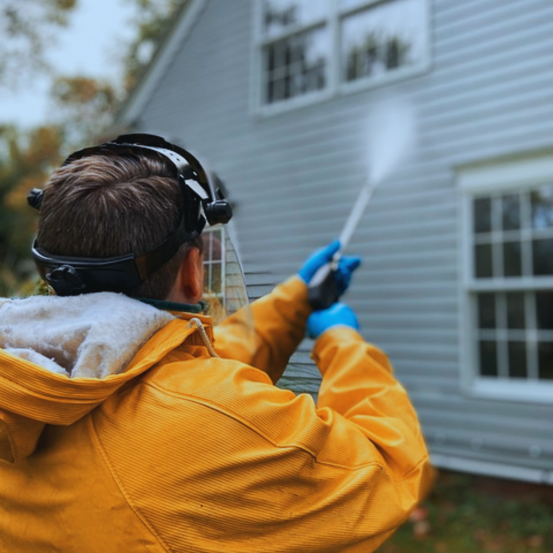 What Your Eyes Can’t See: The Hidden Dirt Only a Professional Cleaning Can Remove