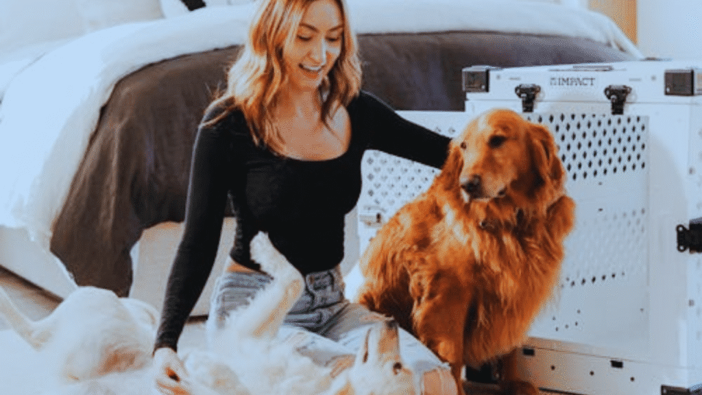 pet safe cleaning products
