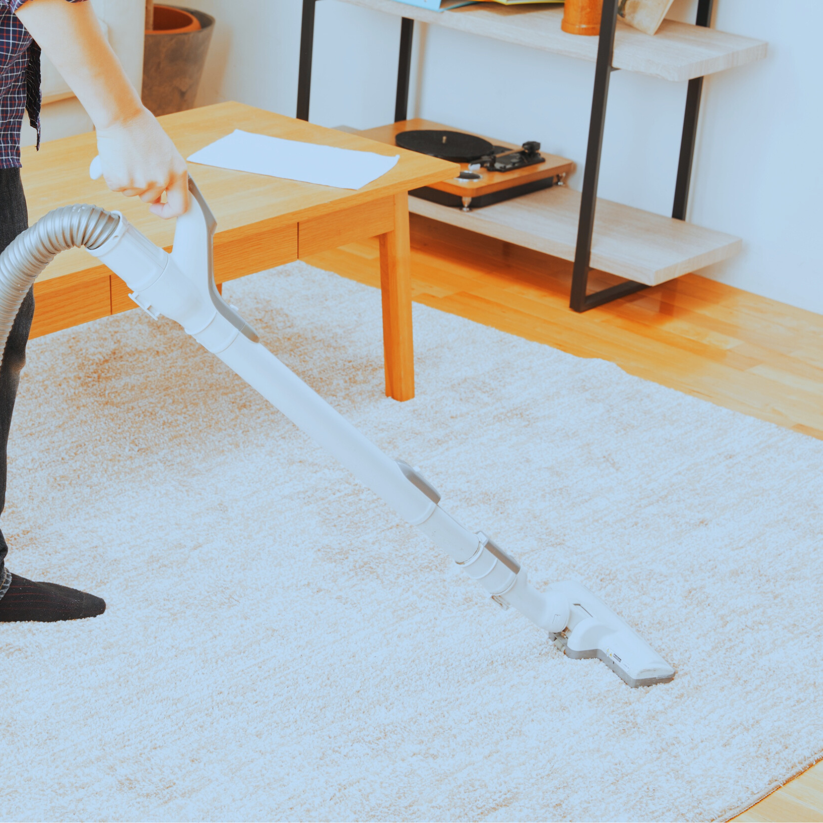 Professional Carpet Cleaning Services in Murfreesboro – Restore the Fresh Look and Feel of Your Home