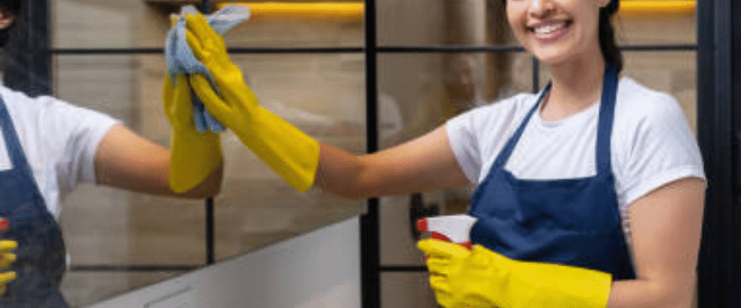 My Home Cleaning: The Complete Guide to a Healthier, Cleaner Living Space