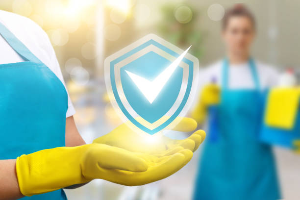 professional home cleaning services