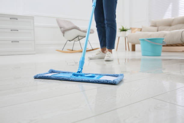 house clean up services