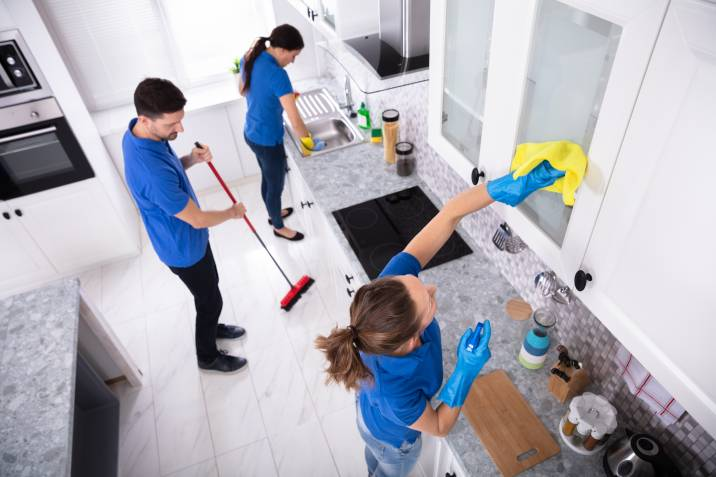 Professional Home Cleaners