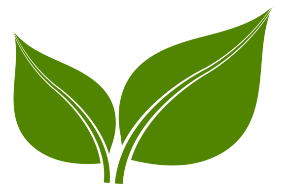 need a house cleaner