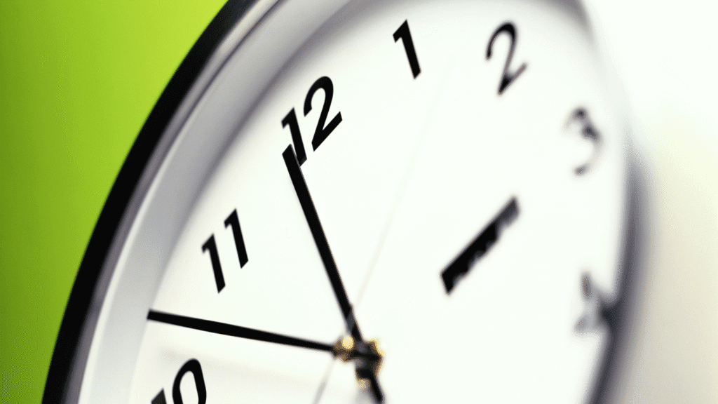 Professional Home Cleaners