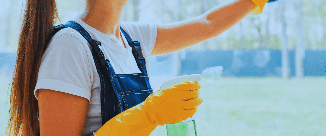 Residential Window Cleaning: Let Natural Light Shine Through Your Home