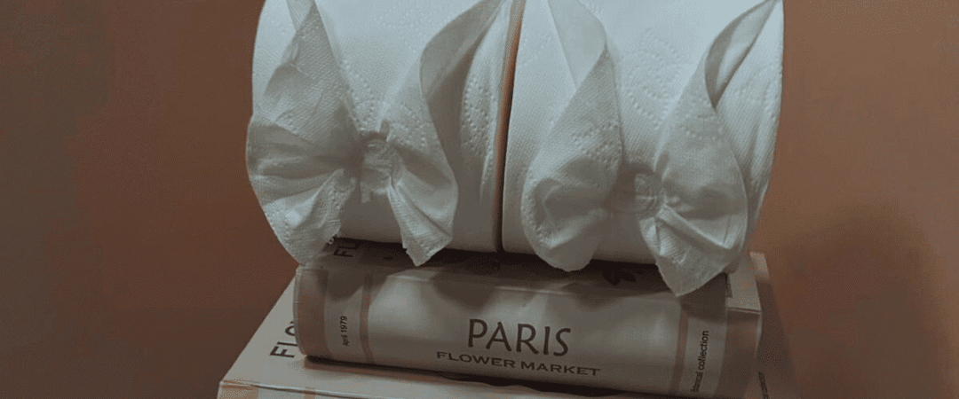 Detailed Cleaning Services: Meticulous Care for Every Corner of Your Home or Business