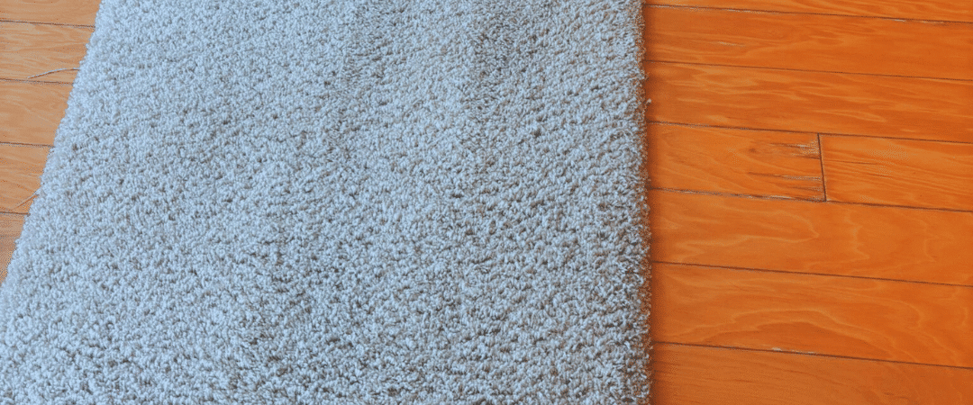 Carpet Cleaning Specialist: Professional Care for Cleaner, Healthier Carpets