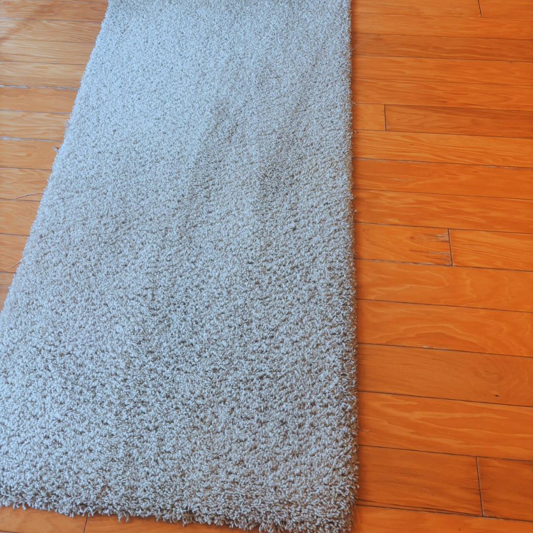 Carpet Cleaning Specialist: Professional Care for Cleaner, Healthier Carpets
