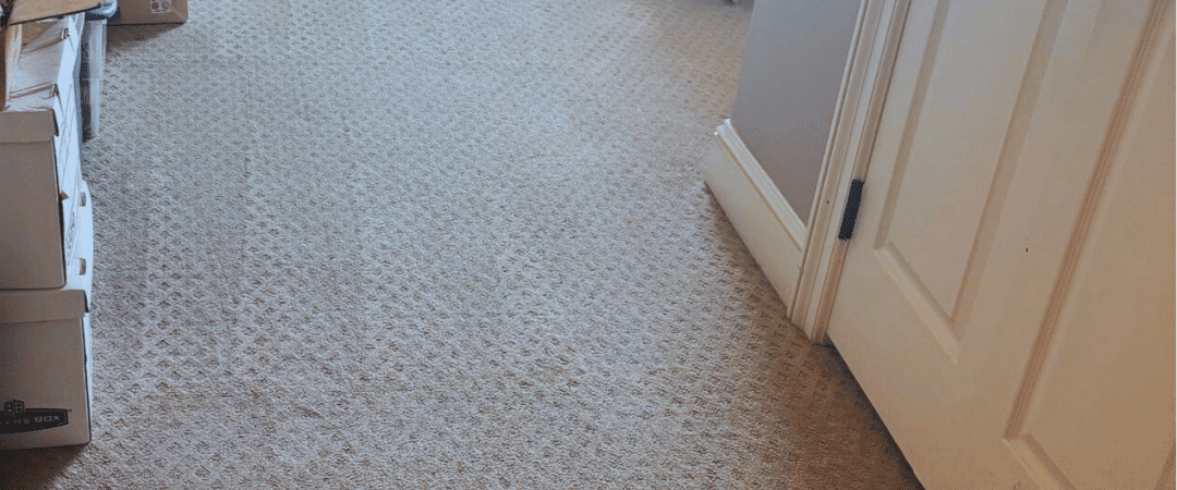 Carpet Sanitizing Service: Professional Solutions for a Healthier Home