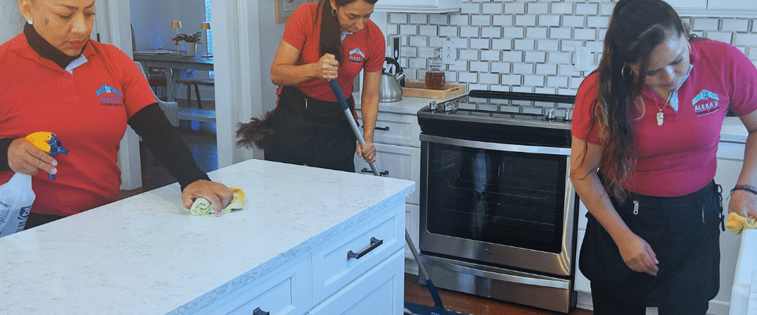 Apartment Cleaning Companies: Professional Services for a Spotless Living Space