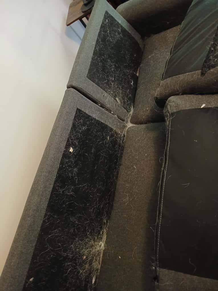 i need a cleaning service