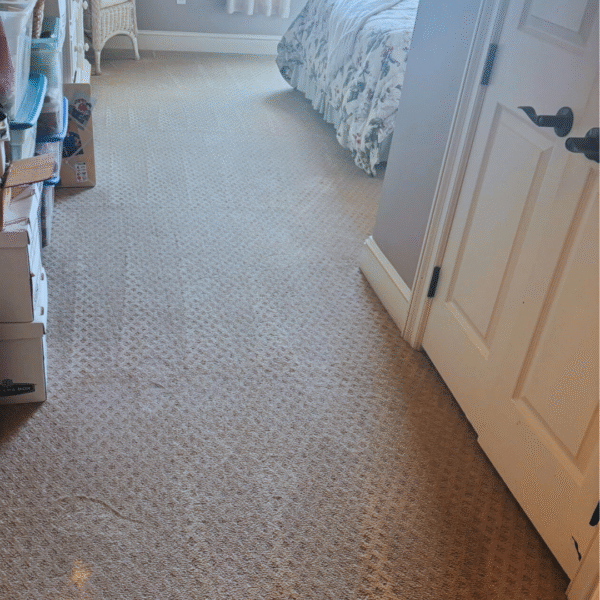 Carpet Sanitizing Service: Professional Solutions for a Healthier Home