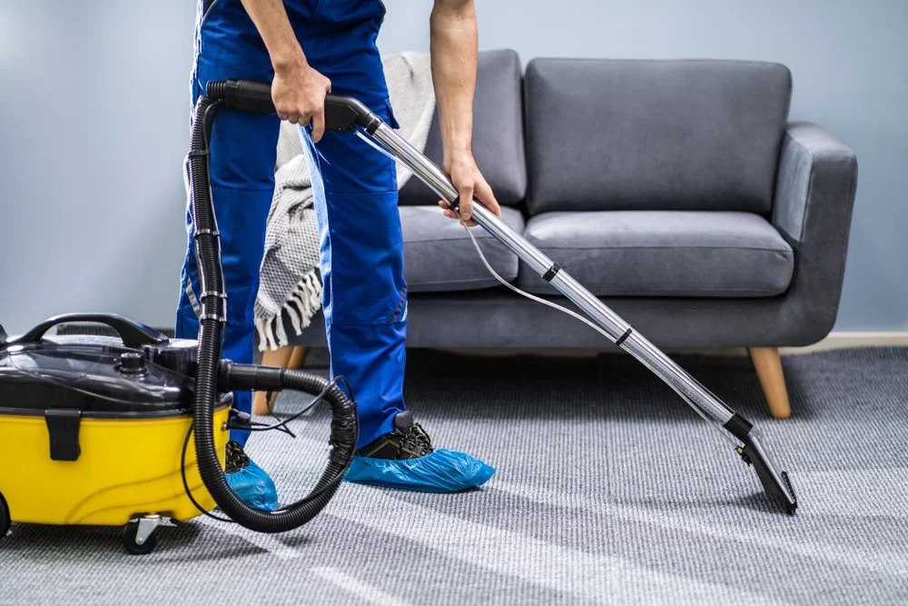 Carpet Sanitizing service