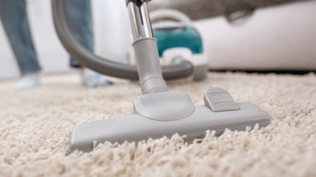 carpet cleaning specialist